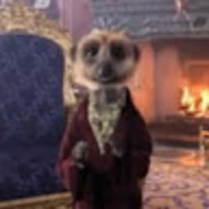 Meet your Posher, Jackson